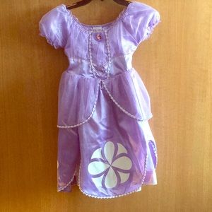 Disney- Sophia the First Princess Dress